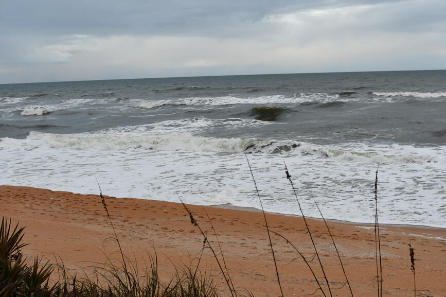 Beaches